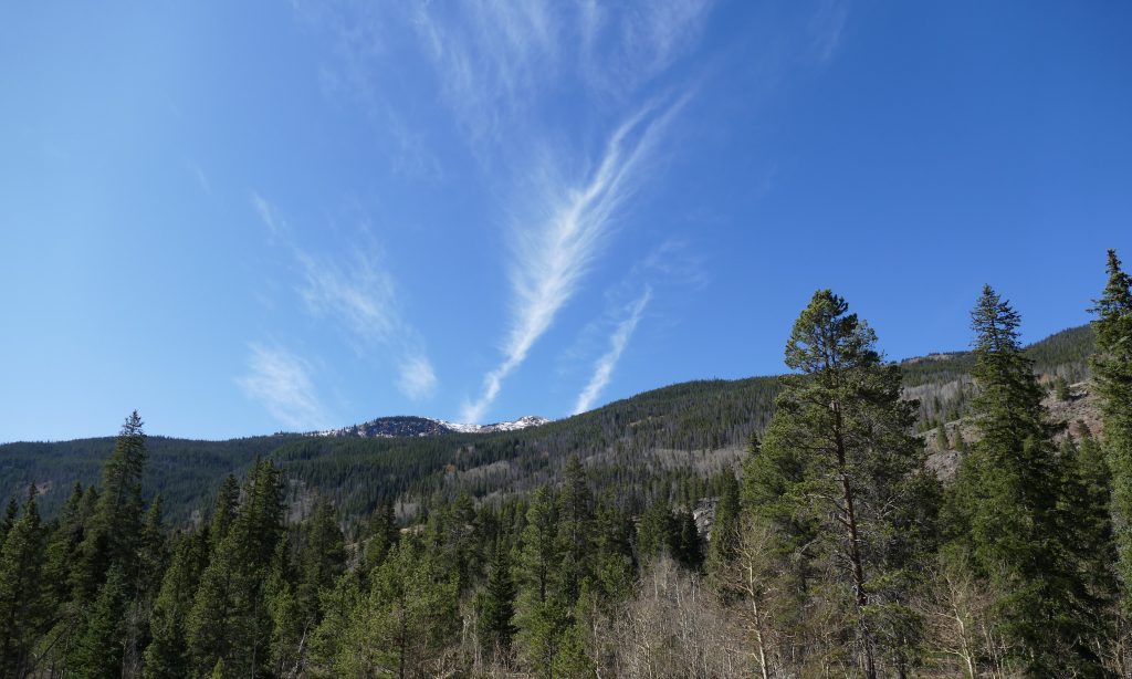 Cirrus Clouds