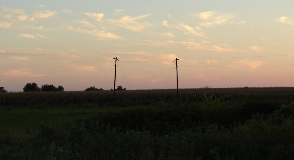 Field At Dusk