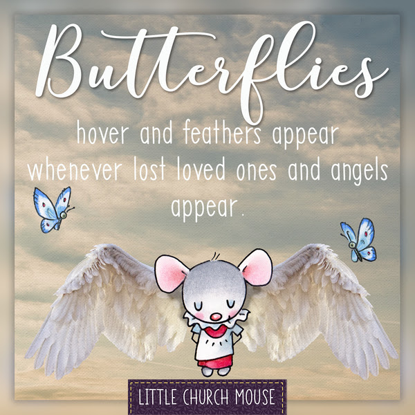 Butterflies & Feathers